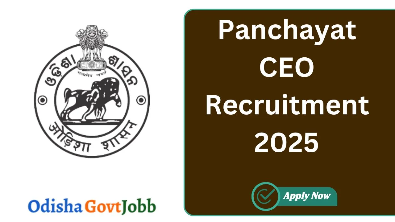 Panchayat CEO Recruitment 2025